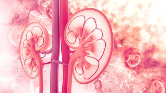Kidneys