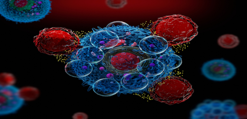 Exploring the Evolving and Expanding Role of CAR T-Cell Therapies in the Treatment of B-Cell Lymphomas